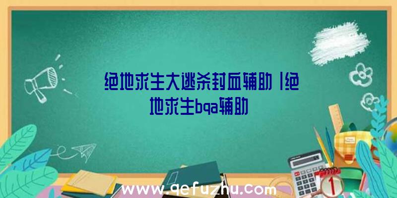 「绝地求生大逃杀封血辅助」|绝地求生bqa辅助